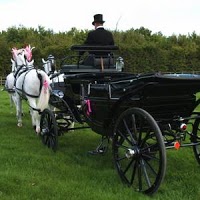 Horse drawn Carriage Hire   Disley 280895 Image 1